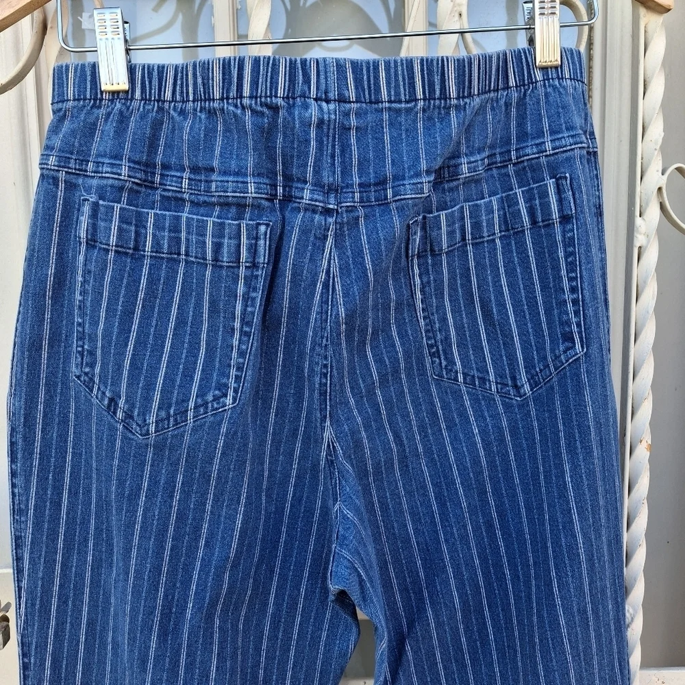 MetroStyle Blue & White Pinstripe Pull-On Comfy Cotton Pants  Women Size Large